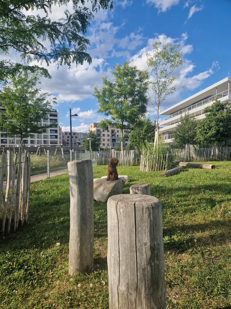 Elinor-Ostrom-Park im 22. Donaustadt – Bereich (Foto 7)