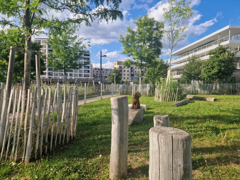 Elinor-Ostrom-Park im 22. Donaustadt – Hundezone (Foto 8)