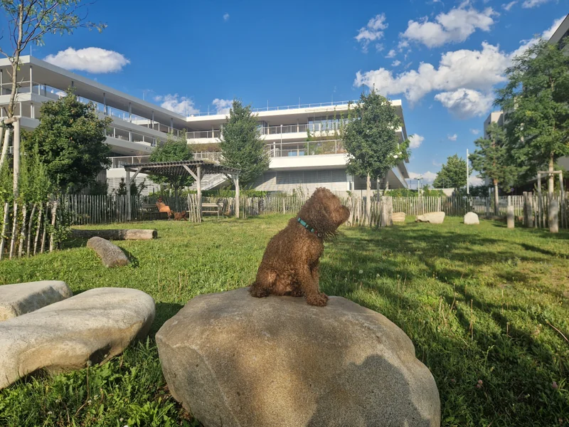 Elinor-Ostrom-Park im 22. Donaustadt – Hundewiese (Foto 9)