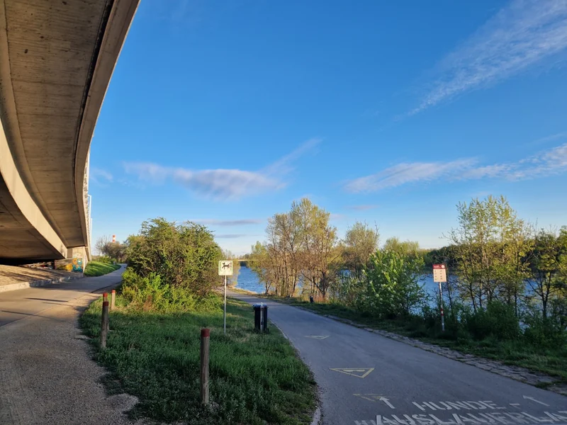 Hundeauslaufplatz Neue Donau Süd (MA45) im 22. Donaustadt – Hundezone (Foto 1)