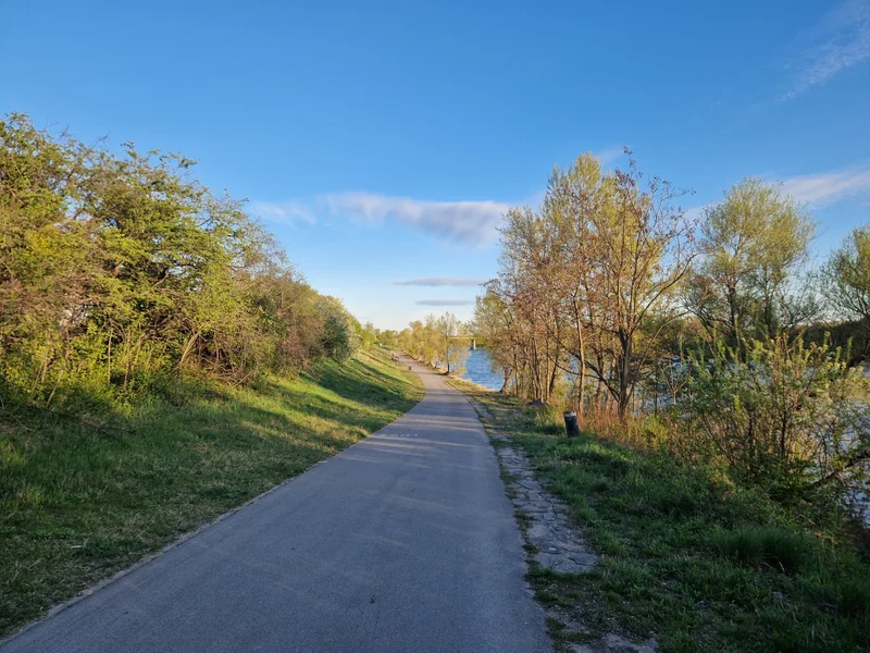 Hundeauslaufplatz Neue Donau Süd (MA45) im 22. Donaustadt – Hundewiese (Foto 2)
