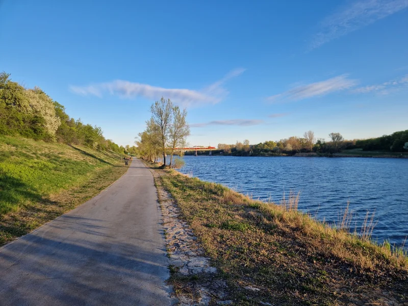 Hundeauslaufplatz Neue Donau Süd (MA45) im 22. Donaustadt – Auslaufbereich (Foto 3)