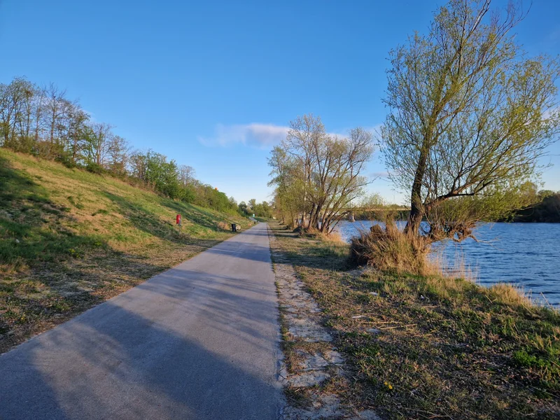 Hundeauslaufplatz Neue Donau Süd (MA45) im 22. Donaustadt – Eingang (Foto 4)