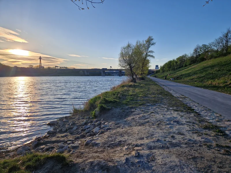 Hundeauslaufplatz Neue Donau Süd (MA45) im 22. Donaustadt – Gelände (Foto 5)