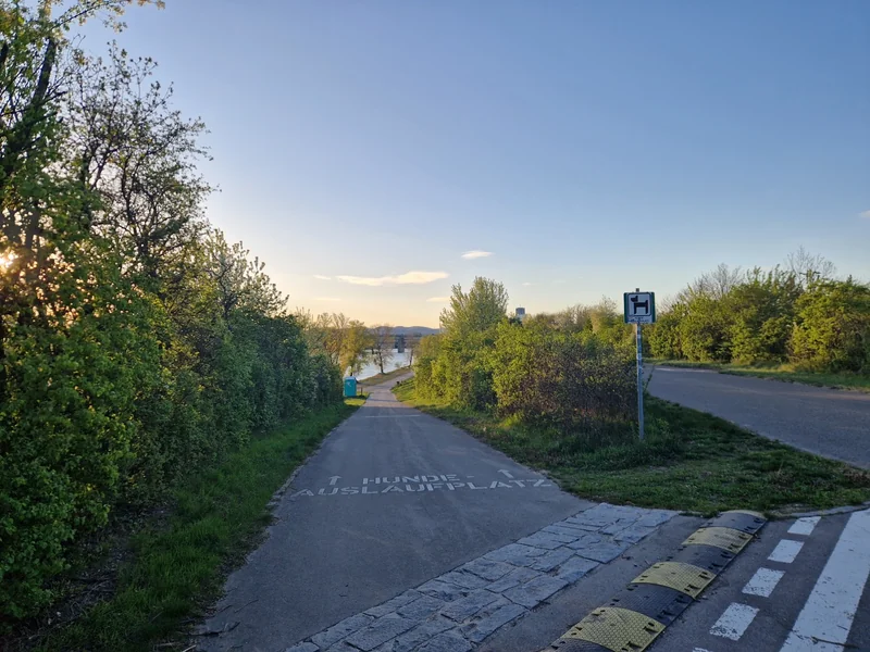 Hundeauslaufplatz Neue Donau Süd (MA45) im 22. Donaustadt – Überblick (Foto 6)