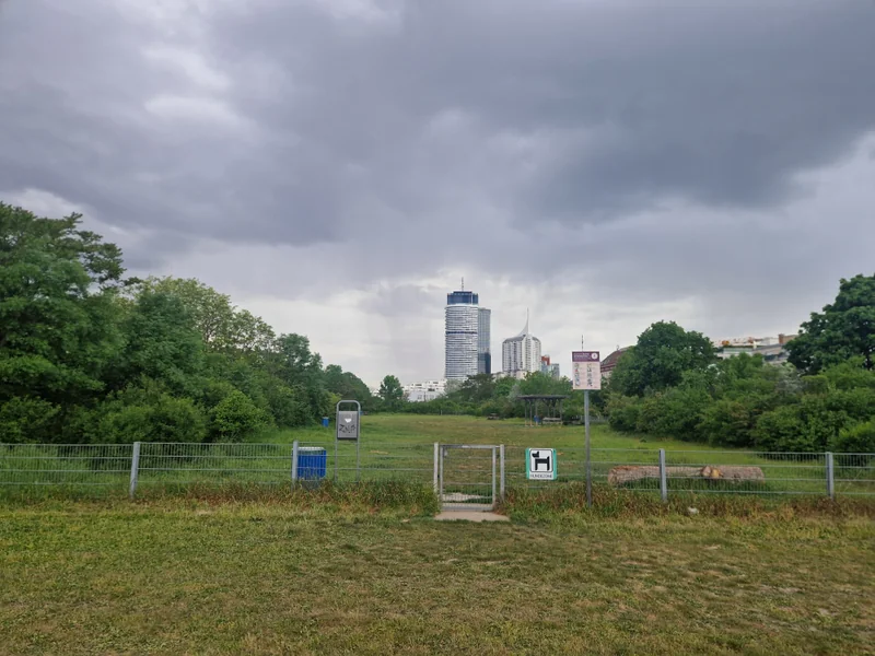 Hundezone Kaisermühlen (MA45) im 22. Donaustadt – Hundezone (Foto 1)