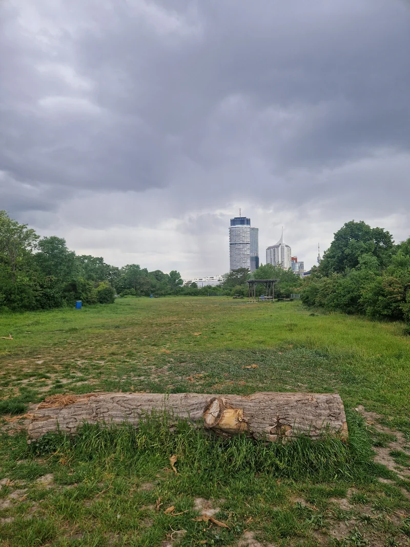 Hundezone Kaisermühlen (MA45) im 22. Donaustadt – Hundewiese (Foto 2)