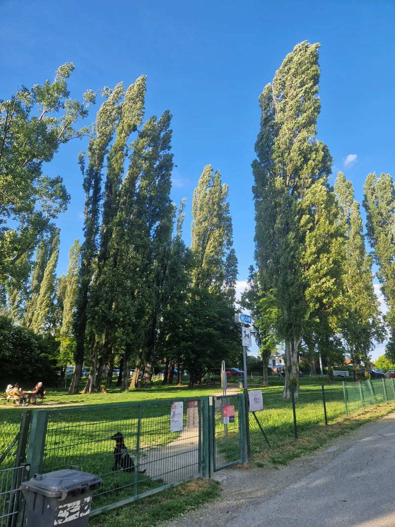 Lagerwiese Rehlacke im 22. Donaustadt – Hundezone (Foto 1)