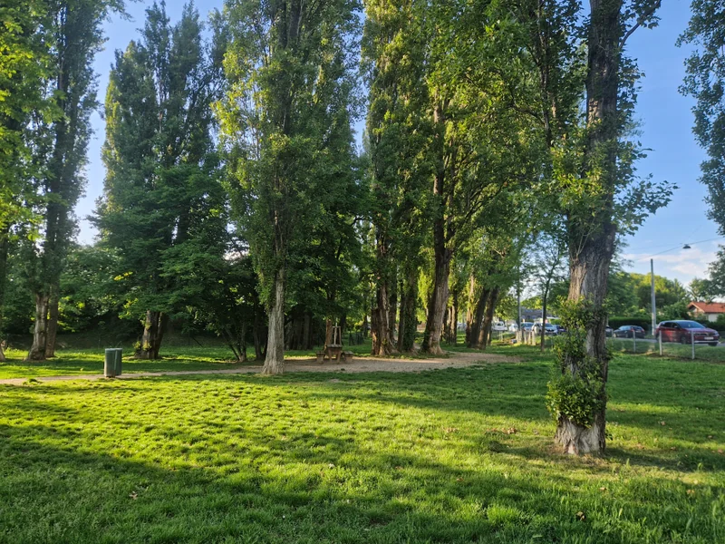 Lagerwiese Rehlacke im 22. Donaustadt – Hundewiese (Foto 2)