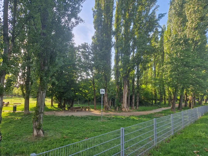 Lagerwiese Rehlacke im 22. Donaustadt – Auslaufbereich (Foto 3)