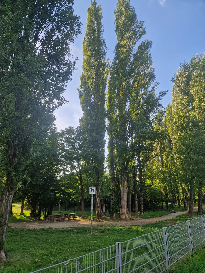 Lagerwiese Rehlacke im 22. Donaustadt – Eingang (Foto 4)