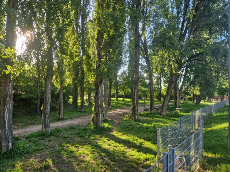 Lagerwiese Rehlacke im 22. Donaustadt – Gelände (Foto 5)