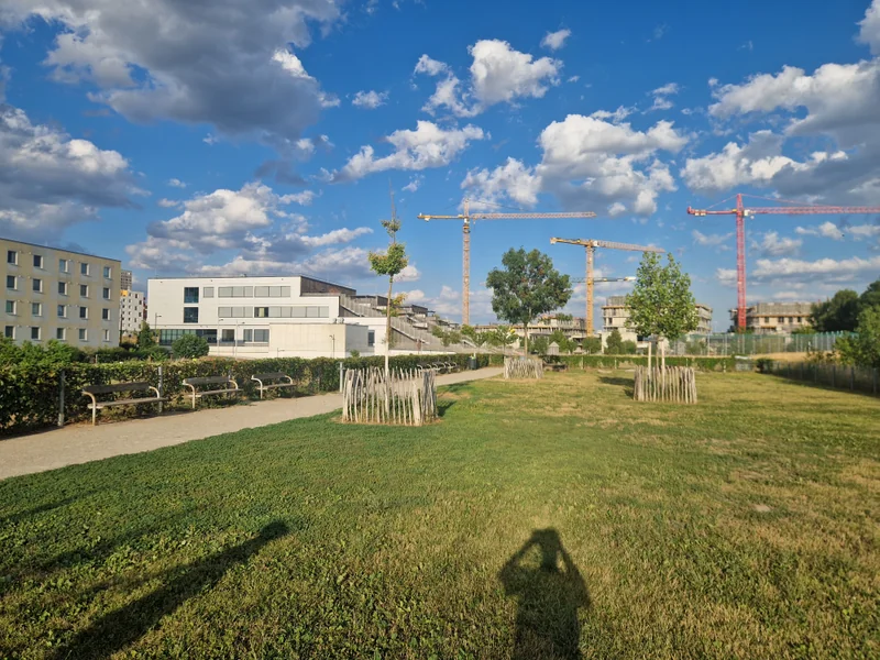 Madame-d'Ora-Park im 22. Donaustadt – Hundewiese (Foto 2)