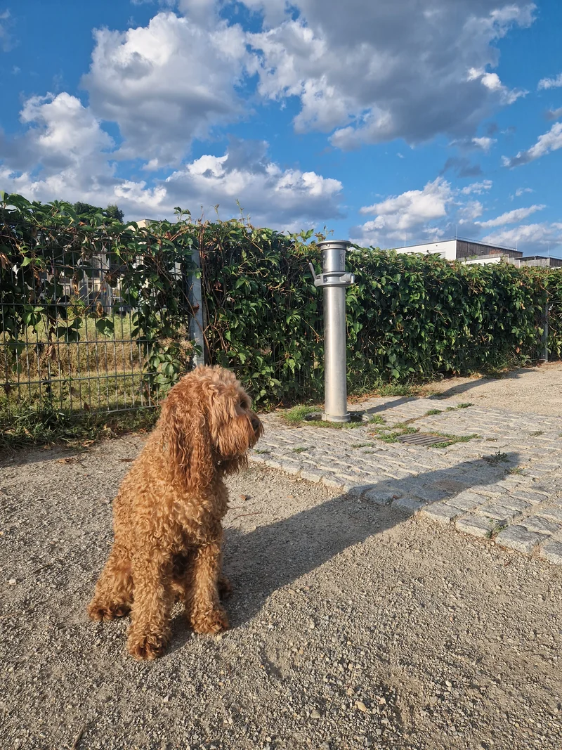 Madame-d'Ora-Park im 22. Donaustadt – Eingang (Foto 4)