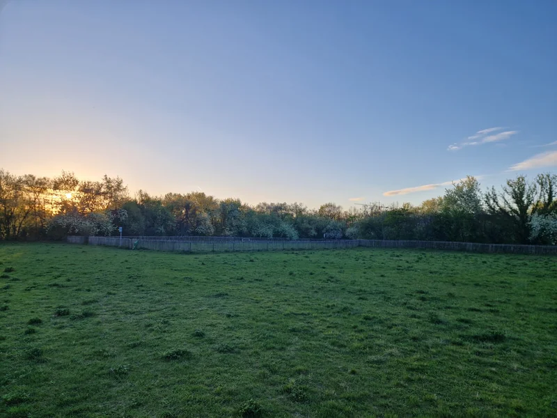 Mühlgrund (MA49) im 22. Donaustadt – Hundewiese (Foto 2)