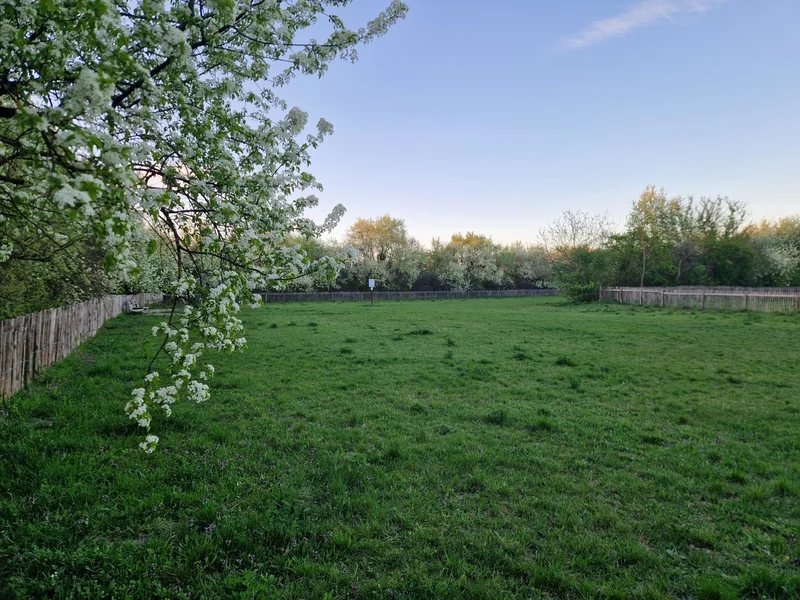 Mühlgrund (MA49) im 22. Donaustadt – Auslaufbereich (Foto 3)