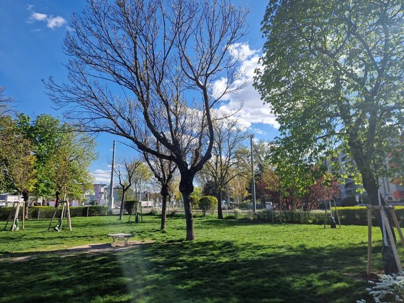 Otto-Affenzeller-Park im 22. Donaustadt – Hundewiese (Foto 2)