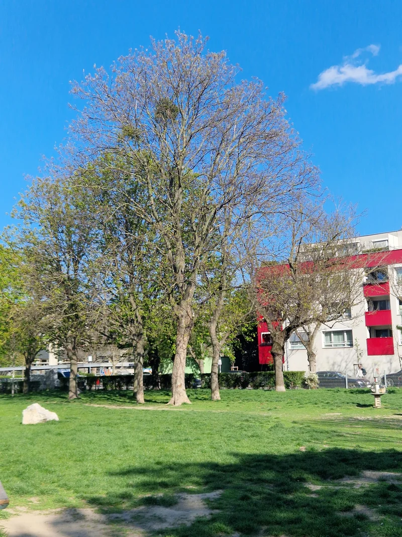 Otto-Affenzeller-Park im 22. Donaustadt – Gelände (Foto 5)
