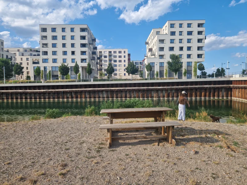 Seepark im 22. Donaustadt – Auslaufbereich (Foto 10)
