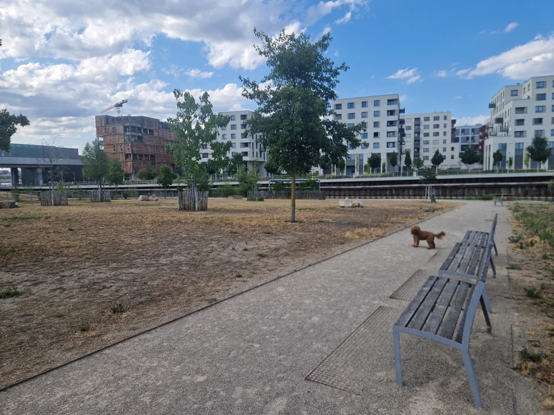 Seepark im 22. Donaustadt – Auslaufbereich (Foto 3)