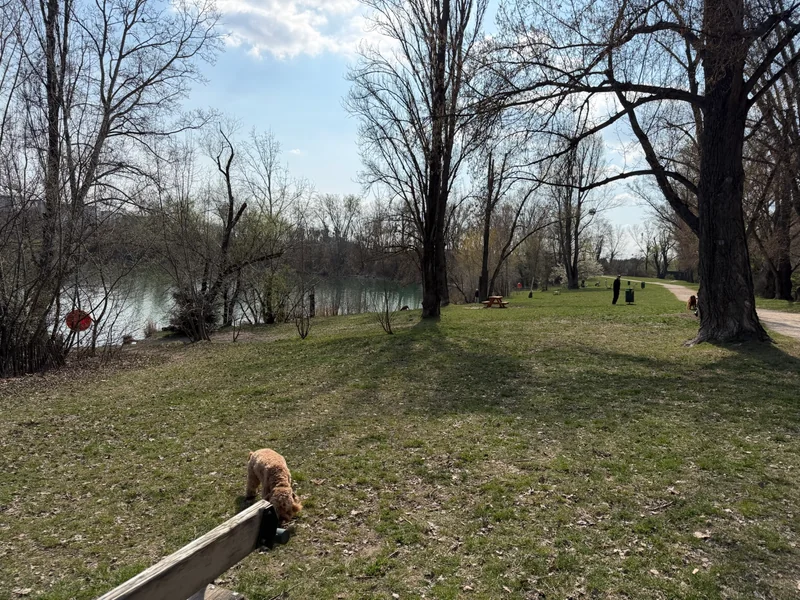 Teich Hirschstetten im 22. Donaustadt – Eingang (Foto 4)