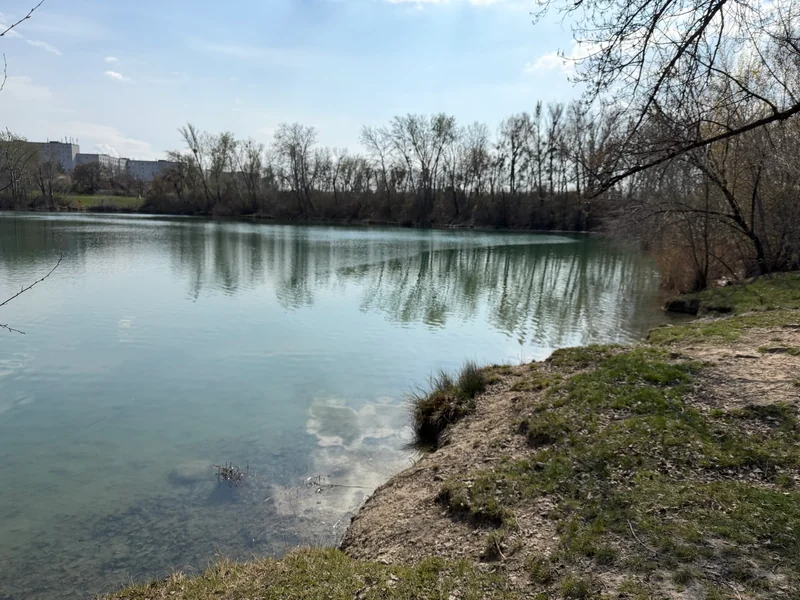 Teich Hirschstetten im 22. Donaustadt – Gelände (Foto 5)