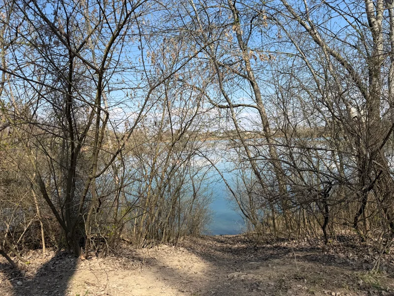 Teich Hirschstetten im 22. Donaustadt – Überblick (Foto 6)